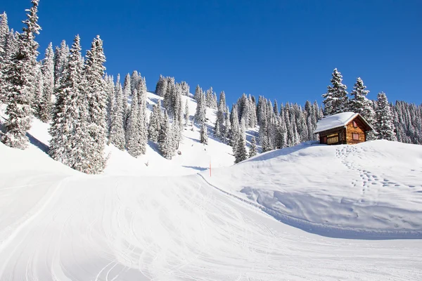 Talvi Alpeilla — kuvapankkivalokuva