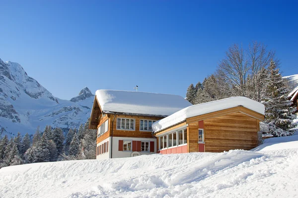 L'hiver dans les Alpes — Photo