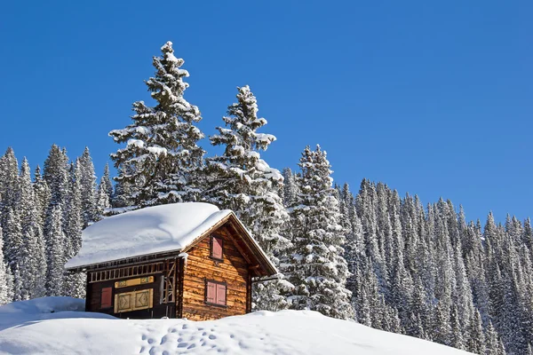 Winter in de Alpen — Stockfoto