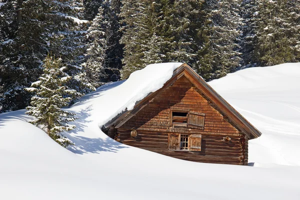 Inverno nelle Alpi — Foto Stock