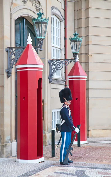 Royal Guard — Stock Photo, Image