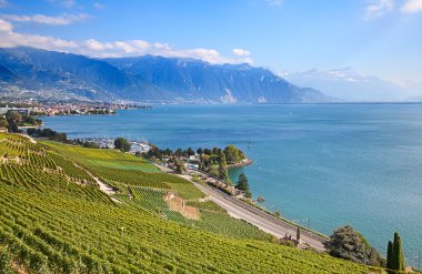 Lavaux bölgesi