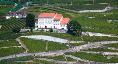 Lavaux bölgesi