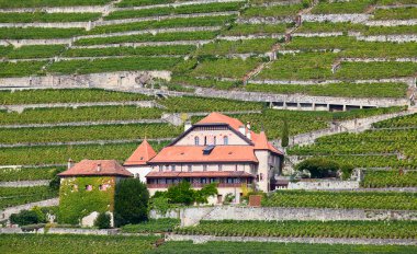 Lavaux bölgesi