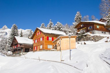 Kış tatil evi