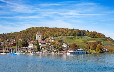 Spiez Kalesi