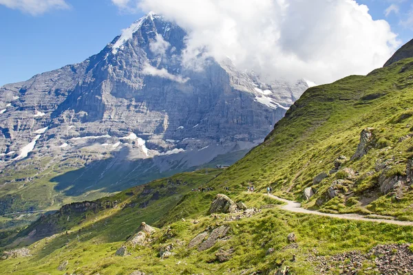 Wandelen in de Alpen — Stockfoto