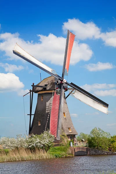 Windmolens — Stockfoto