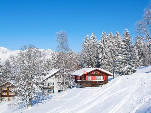 Skidåkning lutning — Stockfoto