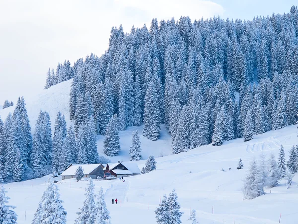 Inverno nos Alpes — Fotografia de Stock