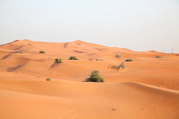 Red sand desert — Stock Photo, Image