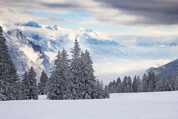 Skiën helling — Stockfoto