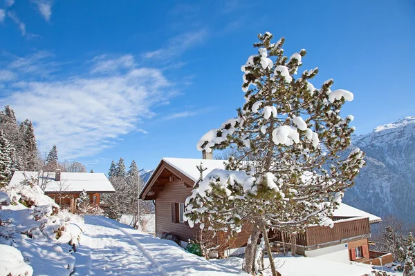 Winter in de Alpen — Stockfoto