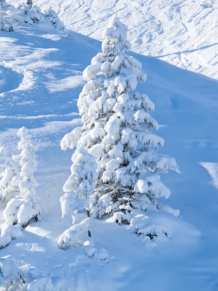 알프스의 겨울 — 스톡 사진