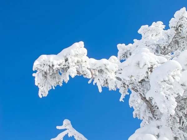 Winter in de Alpen — Stockfoto