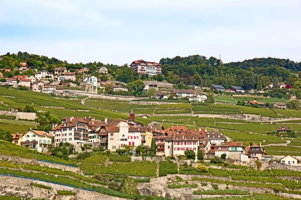 Lavaux 지역 — 스톡 사진