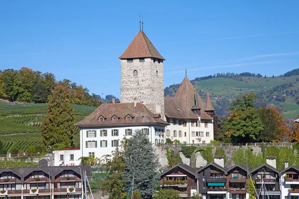 Spiez Kalesi — Stok fotoğraf