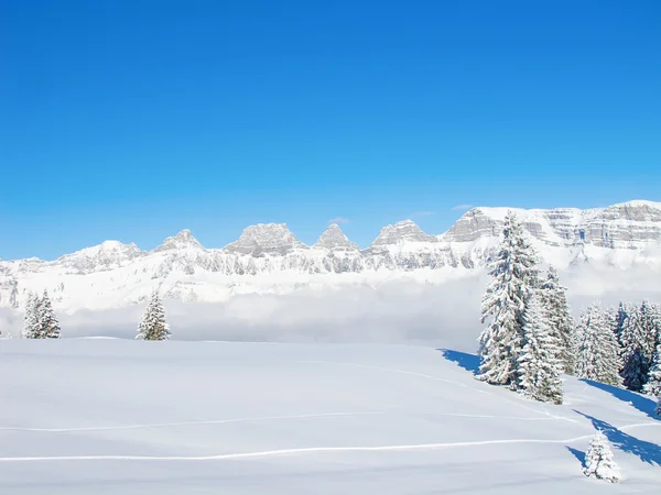 Skiën helling — Stockfoto