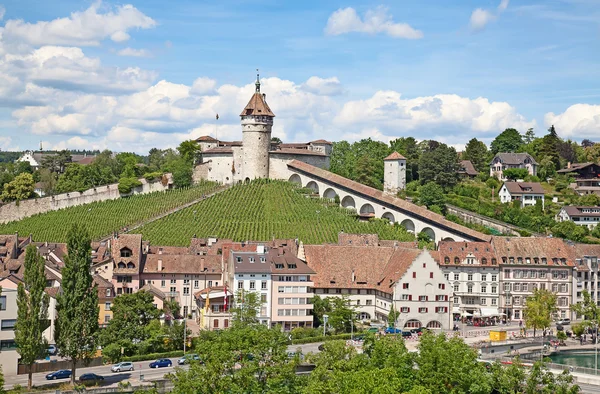 Zomer in schaffhausen — Stockfoto