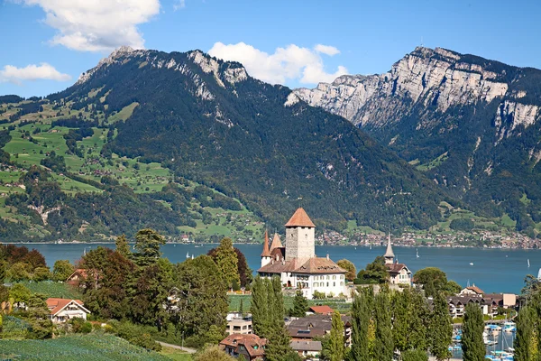 Castelo do spiez — Fotografia de Stock