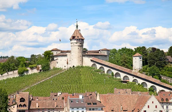 Summer in Schaffhausen — Stock Photo, Image