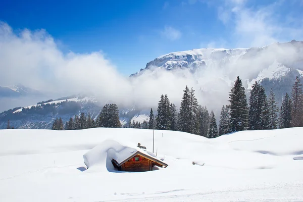 Skiën helling — Stockfoto