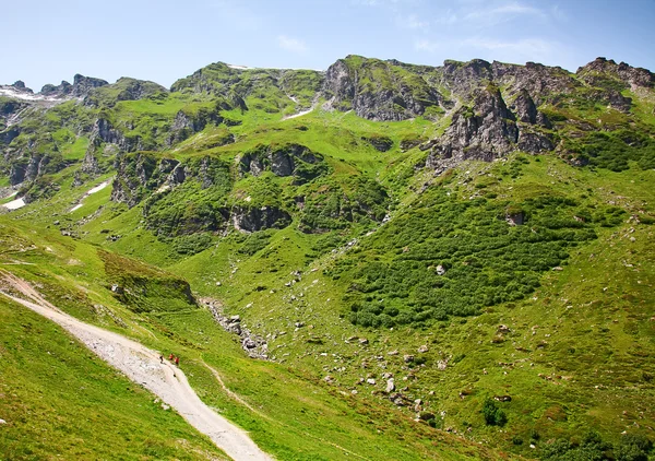 Caminhadas em alpes suíços — Fotografia de Stock