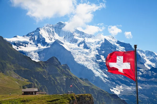 Schweiz flagga — Stockfoto