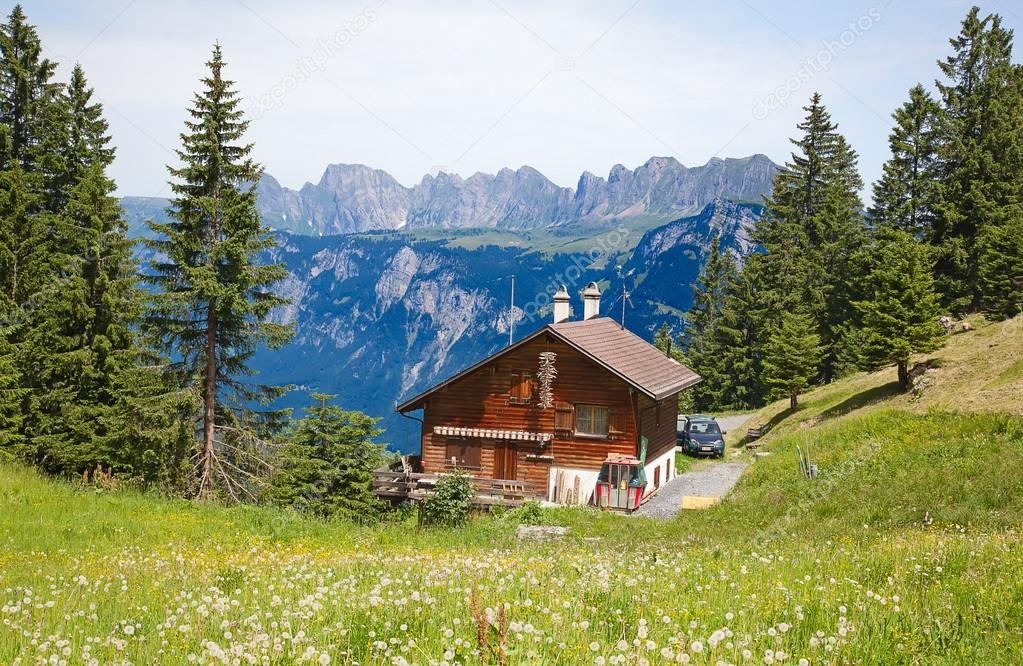 Hiking in swiss alps