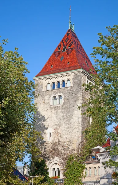 Historiska byggnader på ouchy piren. — Stockfoto