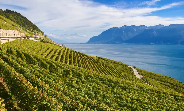 Lavaux regionen — Stockfoto