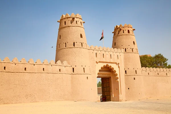 Fort de Jahili — Photo