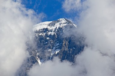 Jungfrau bölgesi