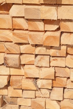 taze ahşap Çıtçıt