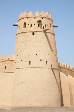 al ain oasis kalede jahili