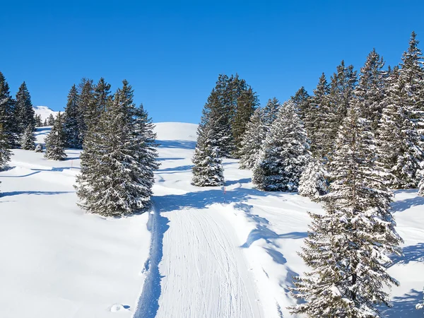 Svizzera stagione invernale paesaggio — Foto Stock