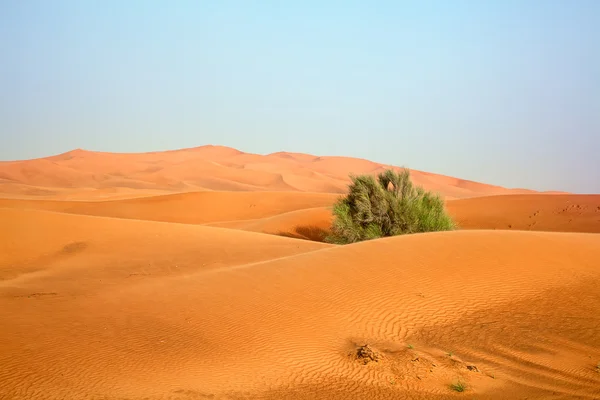 Red sand desert — Stock Photo, Image