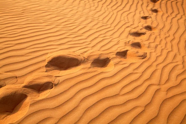 Desierto de arena roja — Foto de Stock