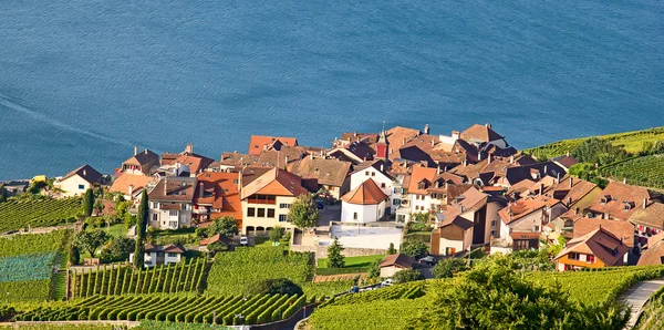 Lavaux regionen — Stockfoto