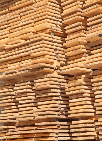 Pernos de madera fresca — Foto de Stock