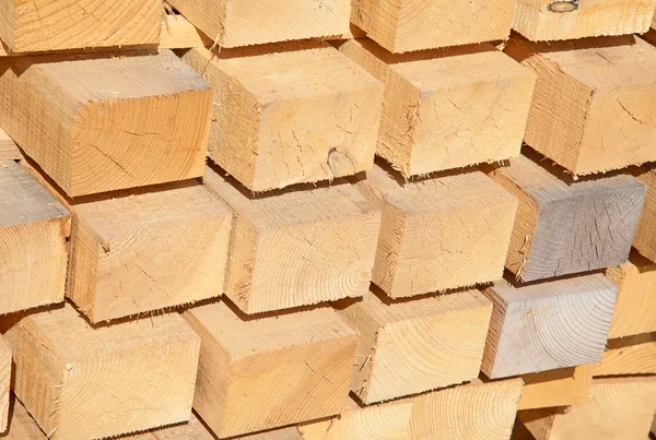 Fresh wooden studs — Stock Photo, Image