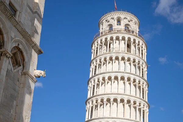 Schiefer Turm Von Pisa Italien — Stockfoto