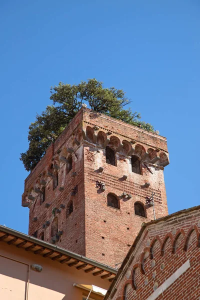 Historische Middeleeuwse Stad Lucca Toscane Italië — Stockfoto
