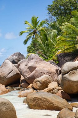 Praslin adasındaki ünlü Petite Anse Kerlan plajı, Seyşeller