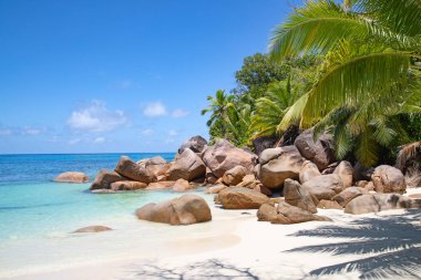 Praslin adasındaki ünlü Petite Anse Kerlan plajı, Seyşeller