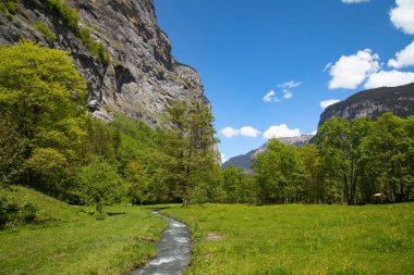Lauterbrunnen Vadisi 'nin şelaleleri. Cantone Bern, İsviçre