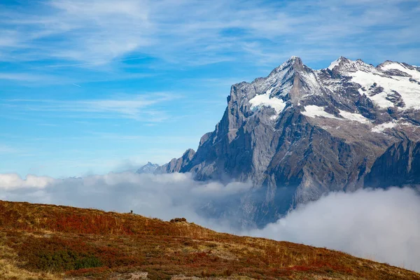 Herfstlandschap Jungfrauregio — Stockfoto