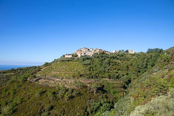 Cinque Terre National Park Historic Region Liguria Italy — стокове фото