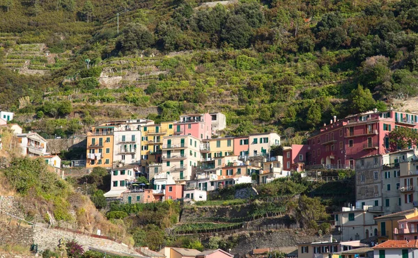 Cinque Terre National Park Historical Region Liguria Italy — Stock Photo, Image