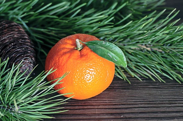 Yeni yıl natürmortdur. Mandallı ve kozalaklı çam dalı.